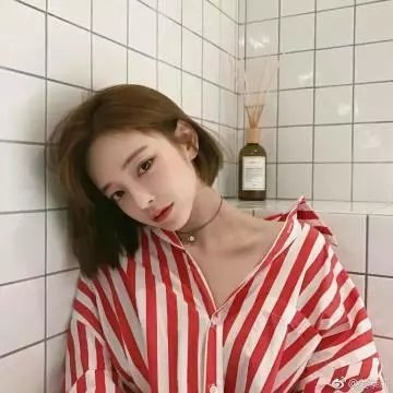 一支丁香花